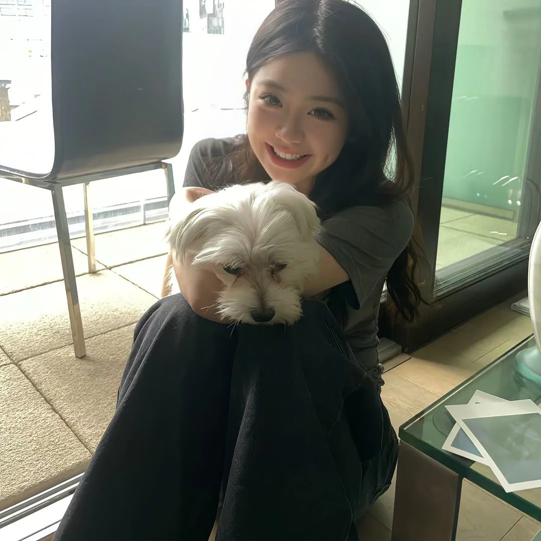 失散两生花海报